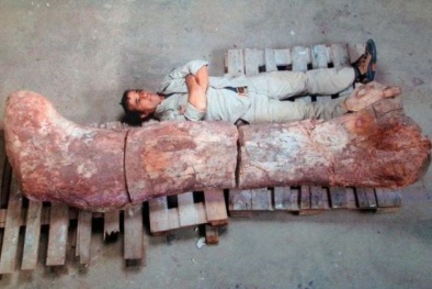 Phát hiện hóa thạch khủng long lớn nhất thế giới